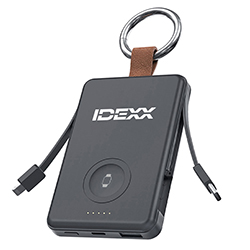 PORTABLE POWER BANK